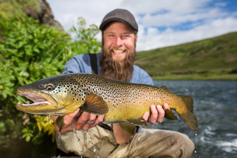 Fantastic trout fishing on Laxardalur