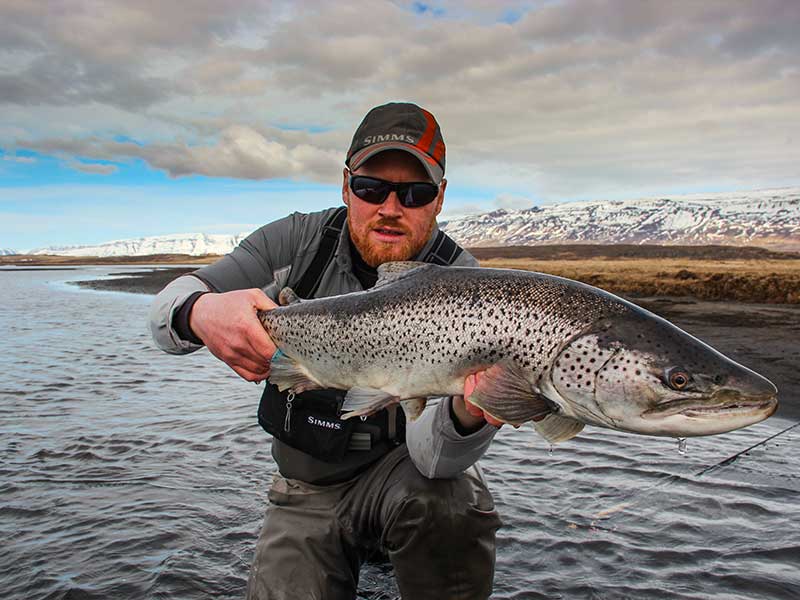 big seatrout iceland